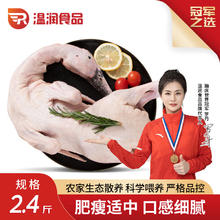 温润 食品本土麻鸭整鸭2.4斤