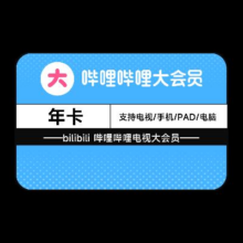 bilibili 哔哩哔哩电视大会员12个月 四端通用