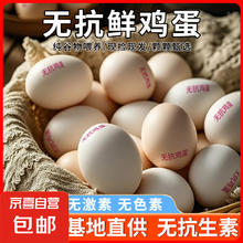 京喜自营-专用品牌 无抗鲜鸡蛋 土鸡蛋现捡现发 基地直发 破损包赔 40g-50g/枚 30枚
