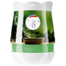 威露士 清可新室内固体香薰 新茶清香 180g