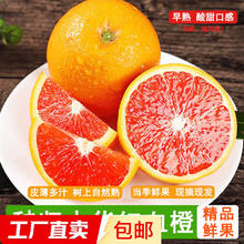 湖北 秭归脐橙中华红血橙 9斤 果径≥65mm