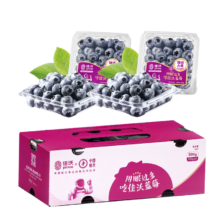 plus会员：佳沃 云南蓝莓18mm+ 4盒装 约125g/盒 新鲜水果*2件