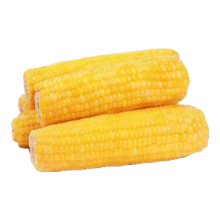 新鲜黄糯玉米 真空包装 4棒 （180g-220g/棒）