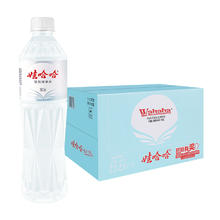 娃哈哈 纯净水350ml*24瓶