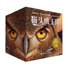 猫头鹰王国（套装15册，随书赠送笔记本和文件袋）媲美哈利波特 马爱农译 课外阅读 阅读 课外书寒假阅读寒假课外书课外寒假自主阅读假期读物省钱卡