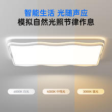 88VIP会员：箭牌照明 ARROW CY520 铁艺吸顶灯 50cm 黑色
