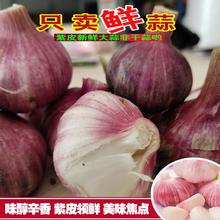 现挖现发 高品质云南紫皮大蒜3斤