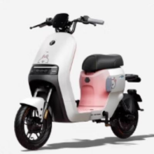ninebot 九号 电动自行车A2z35cLF智能长续航宽胎到 门店选颜色