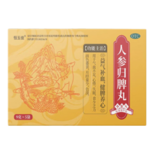 PLUS：恒玉佳人参归脾丸9g*5袋/盒
