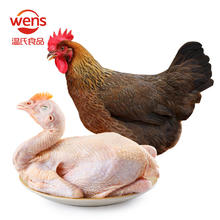 温氏 供港清远麻鸡1kg