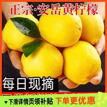 正宗安岳黄柠檬10斤包邮调味泡水切片包邮维C农家种植皮薄肉厚