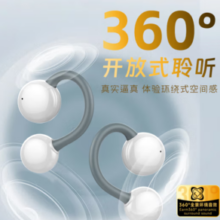 aigo 爱国者 SA06 蓝牙耳机挂耳式