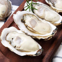 味优福 乳山生蚝 XXXL 鲜活 2.5斤（9个左右）