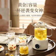端约 养生壶多功能家用小型迷你办公室全自动烧水煮茶器茶壶保温全玻璃