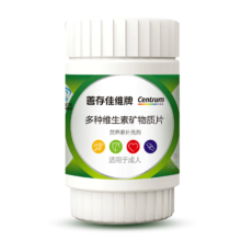 善存 佳维牌 多种维生素矿物质片 30片+凑单
