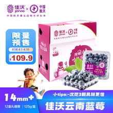 佳沃 云南蓝莓15mm+ 12盒原箱 约125g/盒 生鲜水果