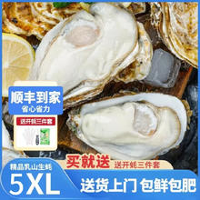 Dole 国产丑苹果 云川精选 脆甜多汁 净重4.2斤 8-14粒简装