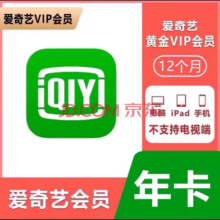 爱奇艺vip会员年卡 12个月