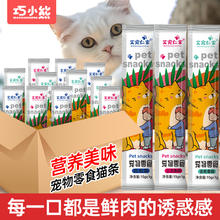 巧小熊 猫条3只