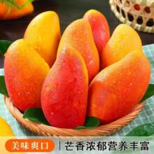 正宗海南贵妃芒果大果 5斤
