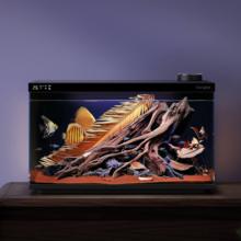 当贝 智能生态鱼缸1Ultra 一体缸自循环双过滤AI托养懒人家用桌面鱼缸