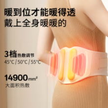 倍轻松 Y2尊享版 腰部按摩器