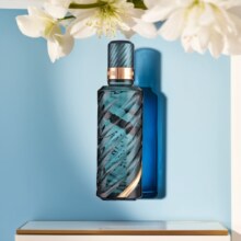 【金汾河】金清香型白酒杏花村53度*245ml