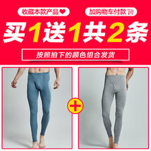三枪 秋裤男秋冬薄款纯棉单件男士保暖裤大码全棉线裤打底棉毛裤