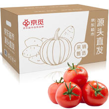 京觅 山东普罗旺斯西红柿 净重3斤装中果 沙瓤番茄蔬菜源头直发