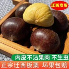 京东自有品牌，京觅 迁西生板栗 3斤大粒