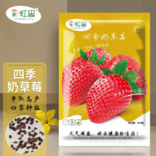 草莓种籽子奶油草莓苗种植室内外阳台蔬菜水果盆栽花种丹东春四季 彩虹田四季奶草莓种子150粒