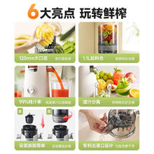 BLAUPUNKT 蓝宝 大口径原汁机榨汁机小型家用渣汁分离全自动炸果汁机果蔬YJ02