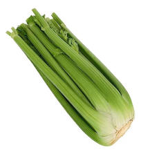 京百味 山东新鲜大西芹4.5斤装榨汁现挖芹菜鲜嫩绿色蔬菜去半叶源头直发