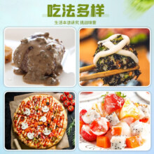 九味佳番茄沙司酱大瓶装 268g