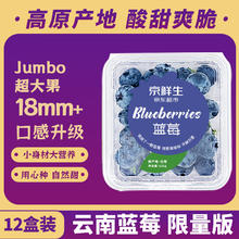 京鲜生 云南蓝莓 12盒装 果径18mm+ 新鲜水果礼盒 源头直发包邮