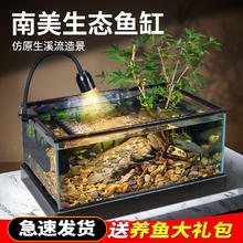 添悦 新款南美溪流鱼缸客厅小型桌面造景全套玻璃生态缸乌龟缸底部排水 小号43*26*21CM