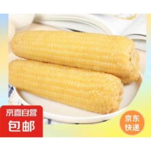 20点：新鲜白糯玉米真空包装 2棒*2件180g-200g/棒（买一赠一）