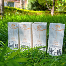 乍甸 高原牧场白金纯牛奶 纯牛奶 200g*12盒