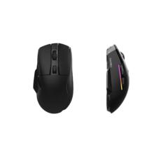 国家补贴：达尔优 A955 2.4G蓝牙 多模无线鼠标 12000DPI RGB 黑色