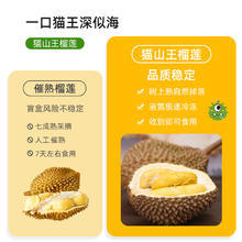 榴掌门 猫山王榴莲D197液氮冷冻马来西亚新鲜水果