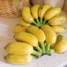 广西网红小米蕉 净重 3斤 青蕉发货