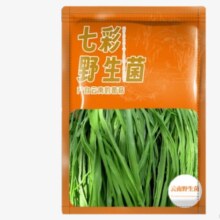 相遇红颜云南大理贡菜 干货特级脱水蔬菜 农家苔干苔菜
