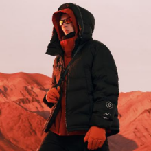 PLUS会员：PEACE BIRD 太平鸟男装 火山羽绒服