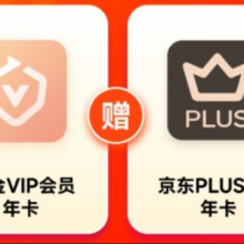 38节：爱奇艺 白金VIP会员白金年卡 支持电视端赠京东PLUS会员年卡