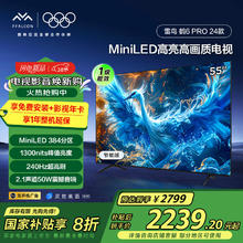 国家补贴：雷鸟 鹤6 PRO 55S585C Pro 液晶电视 55英寸 4K Mini LED（包安装）