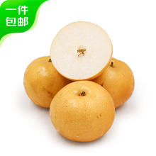 京鲜生 山东莱阳秋月梨 净重2.5kg 单果300g以上 生鲜水果 源头直发