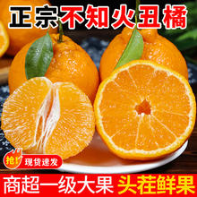 四川 不知火丑橘 9斤 整箱 新鲜水果