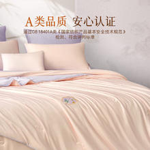 百丽丝 苏博联名蚕丝被 200cm×230cm