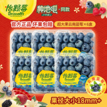 怡颗莓   当季云南蓝莓新鲜水果蓝莓大果   125g*6盒