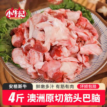 小牛纪 澳洲谷饲原切筋头巴脑 4斤